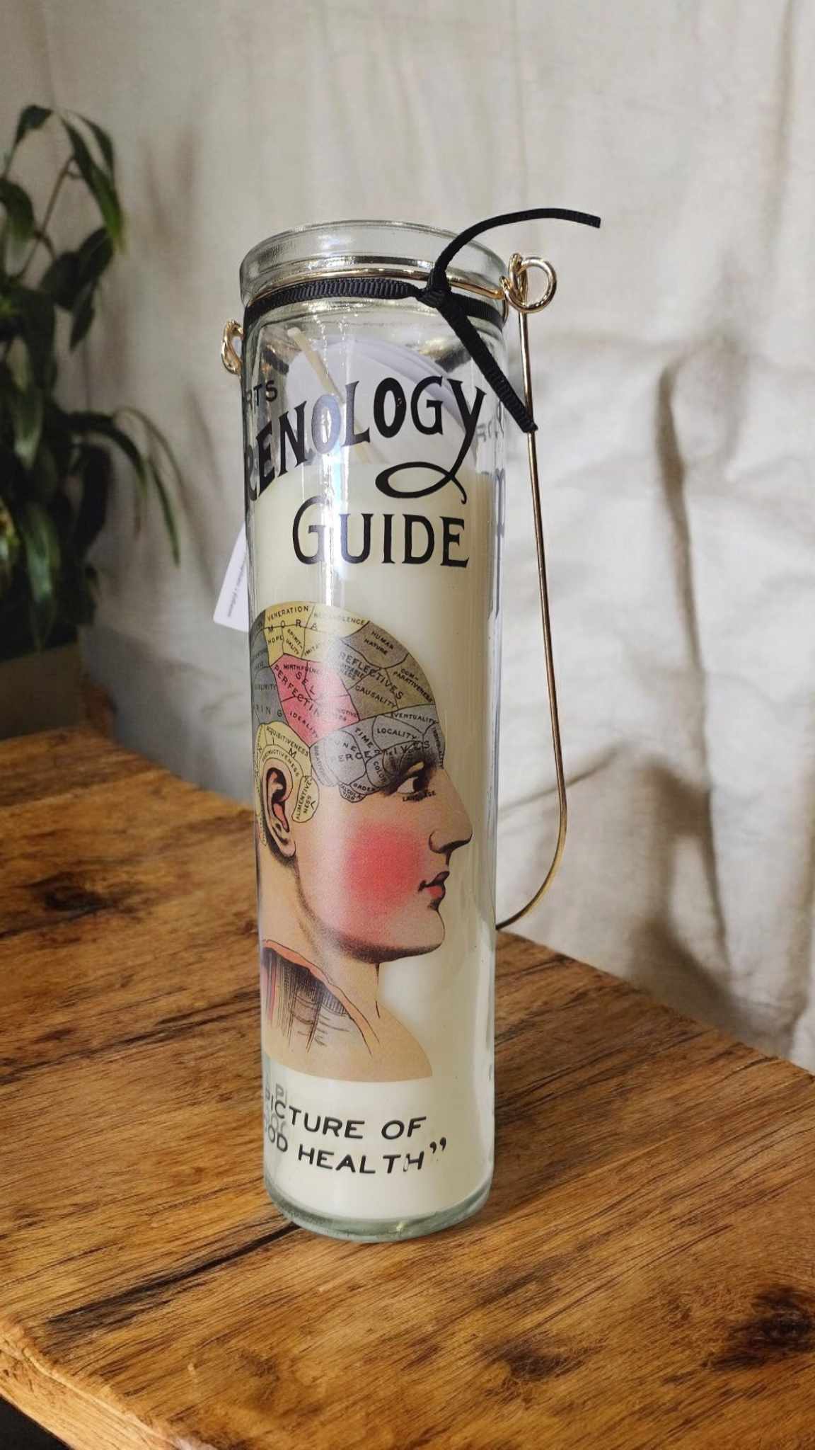 Bougie Phrénologie