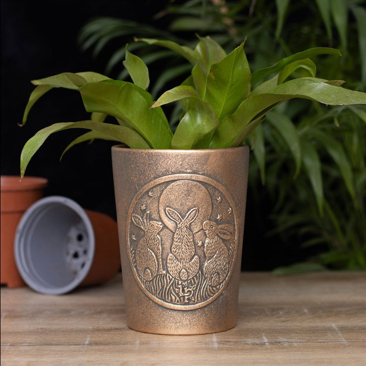 Pot de plantes en terre cuite de bronze Moon Shadows par Lisa Parker