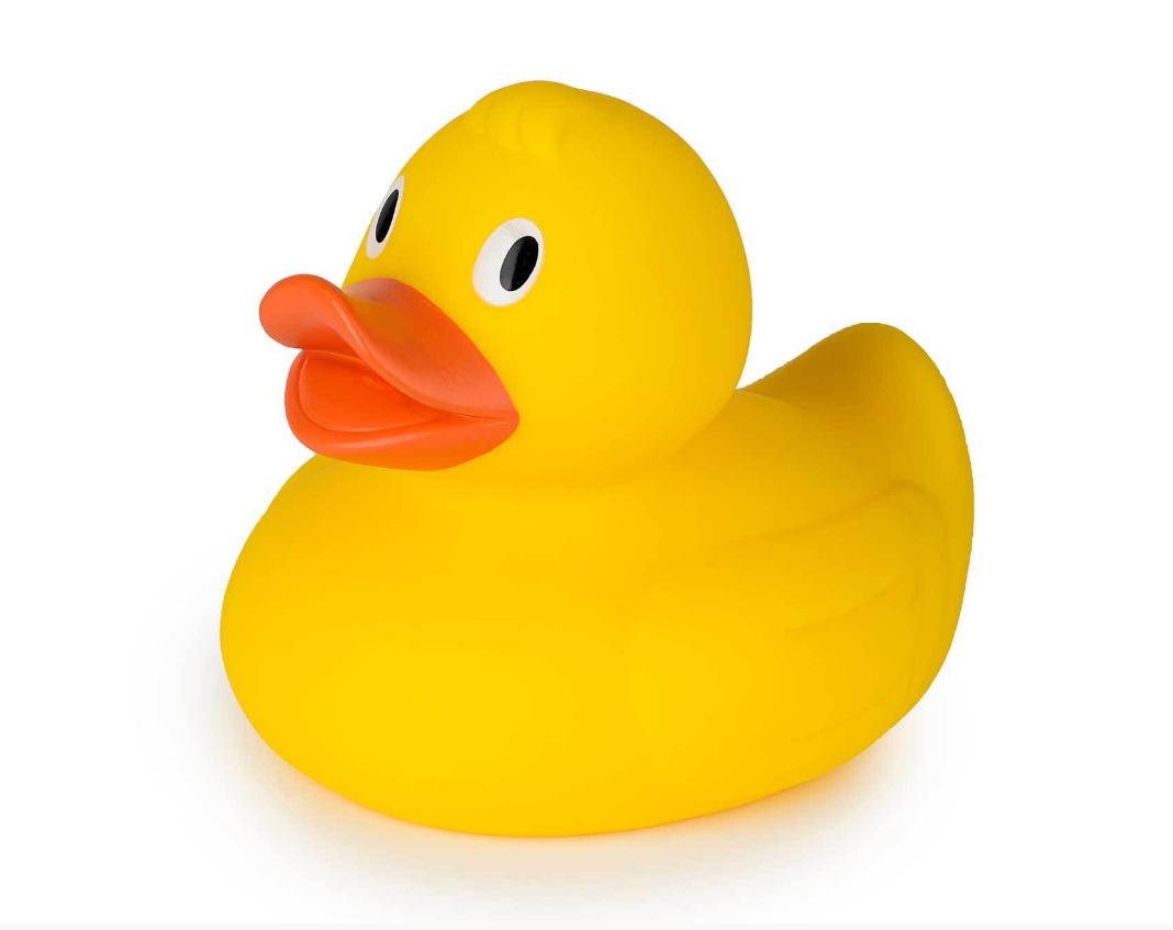 Canard jaune XXL - Isabelle Laurier