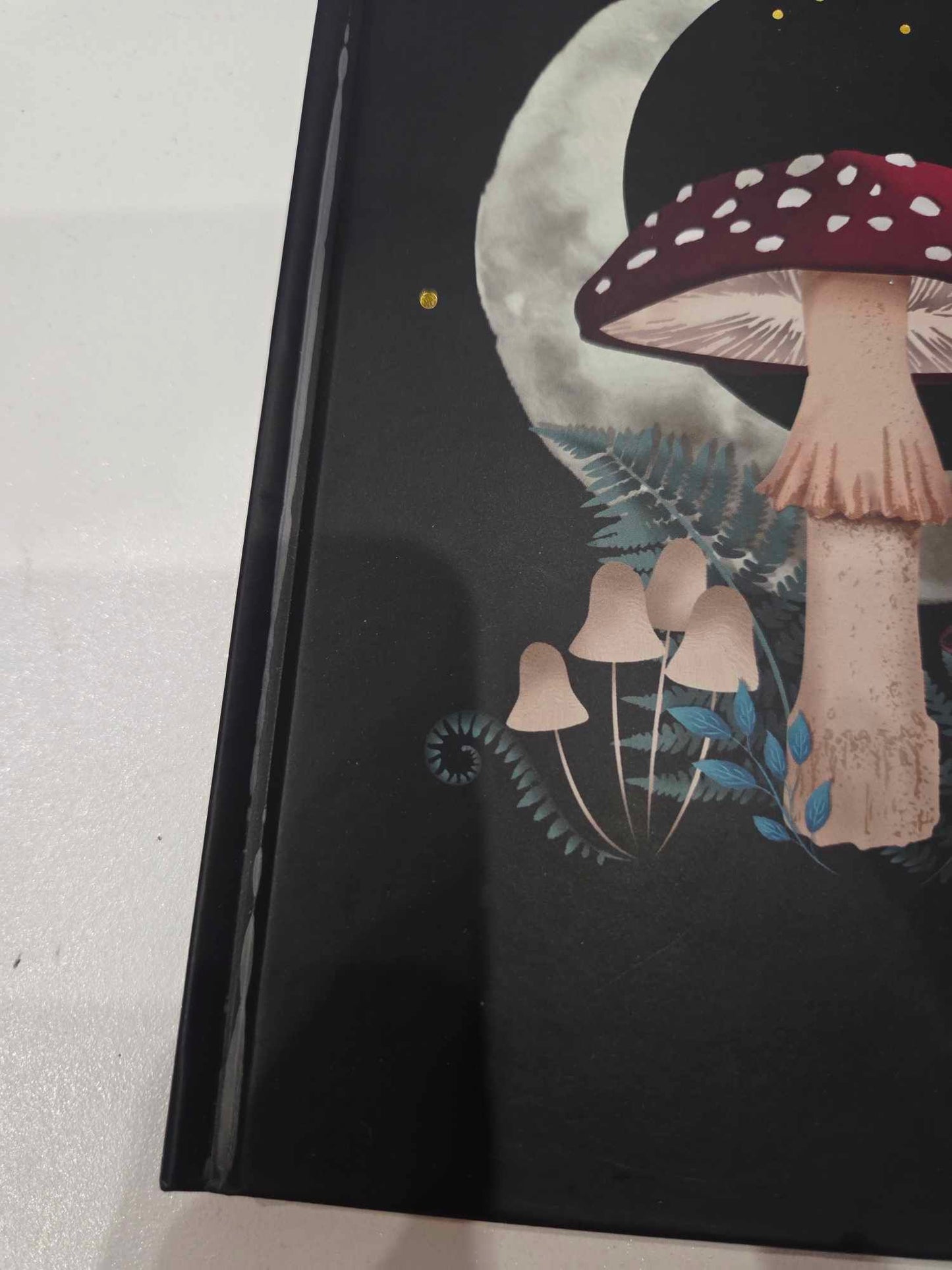 Carnet champignon abimé