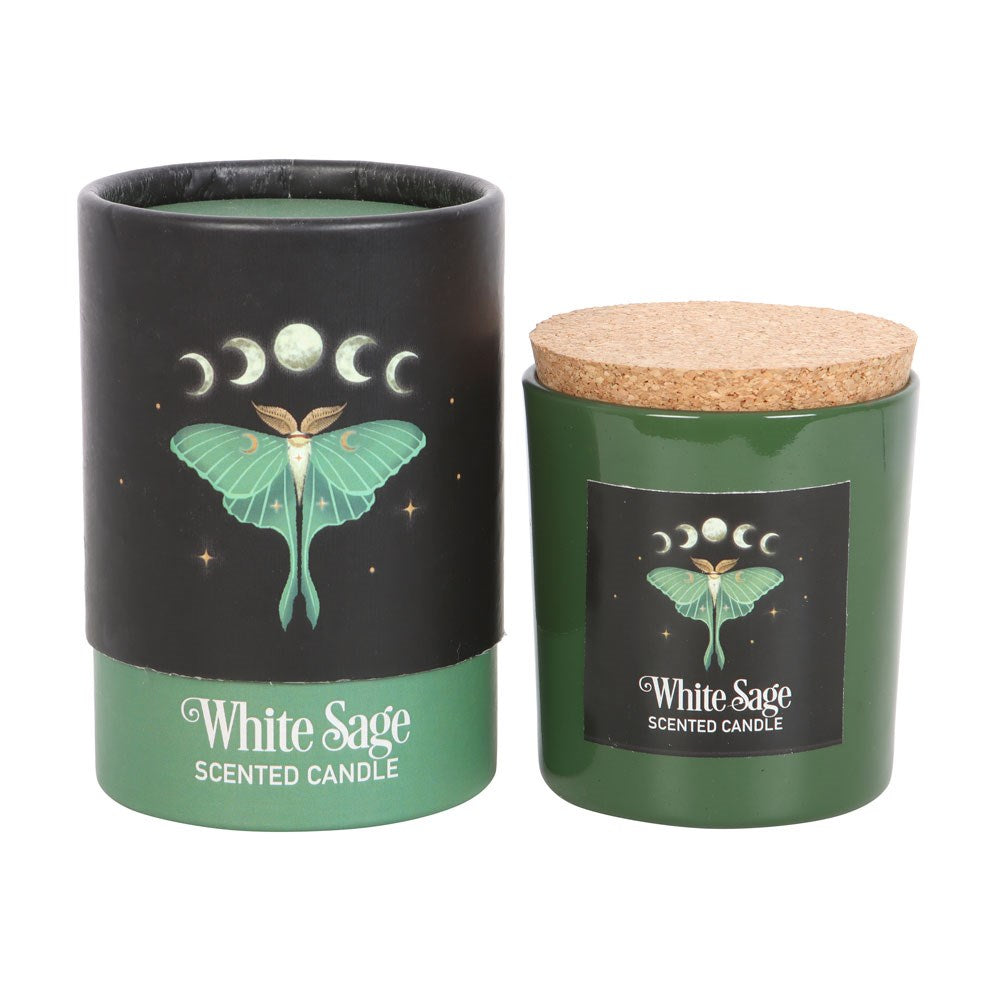 Bougie de sauge blanche Luna Moth