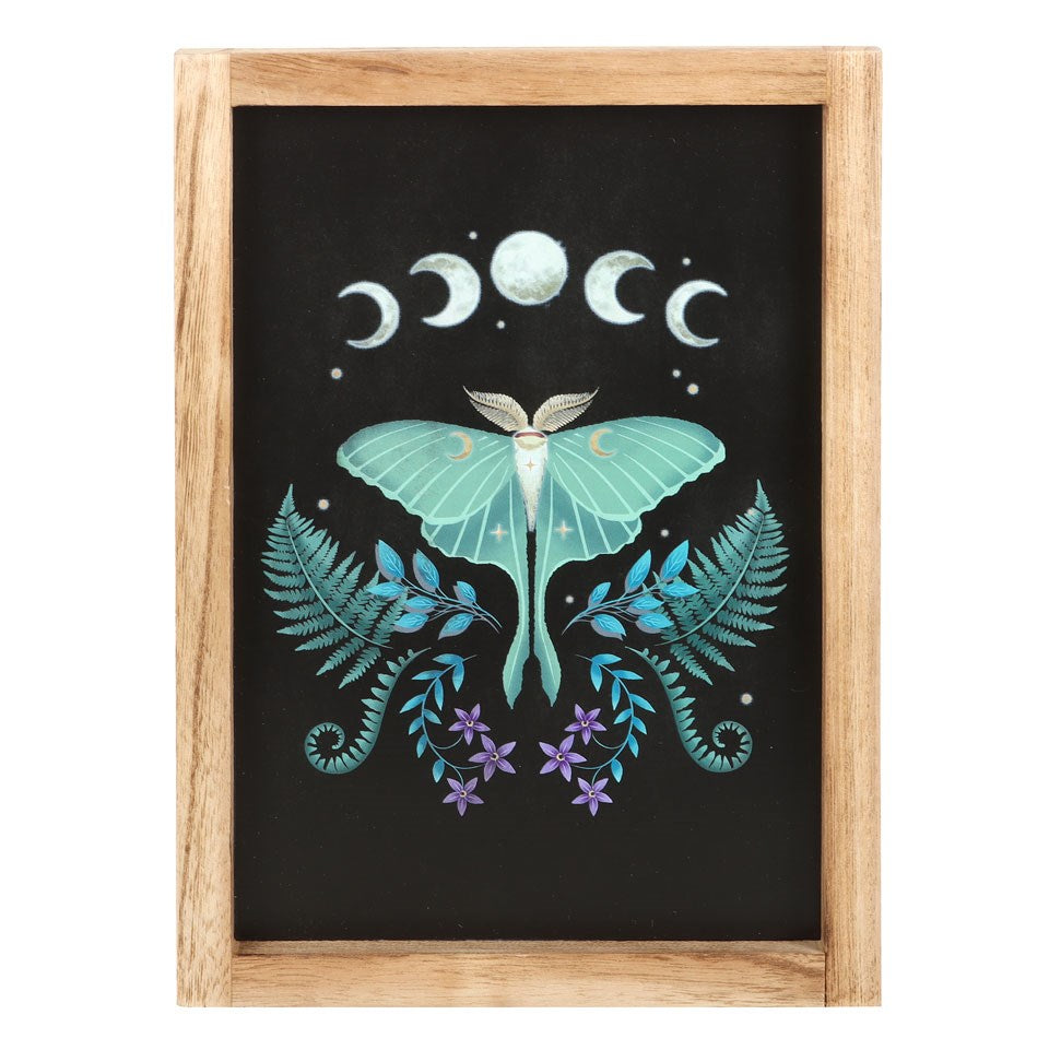 Cadre impression d'art mural d'un papillon Luna Moth