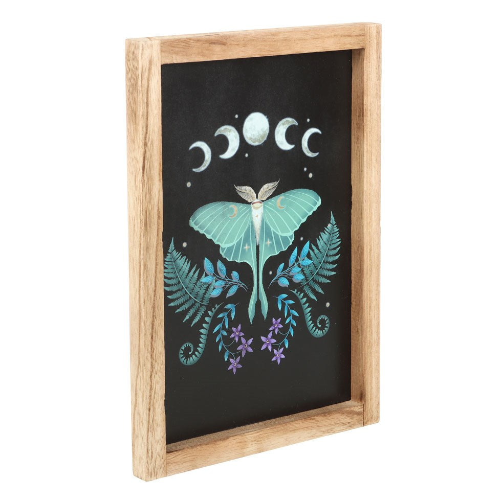 Cadre impression d'art mural d'un papillon Luna Moth