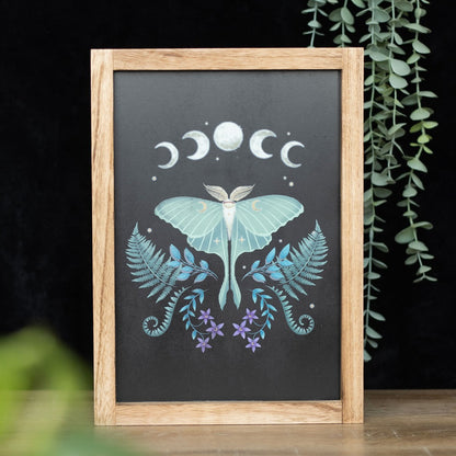 Cadre impression d'art mural d'un papillon Luna Moth